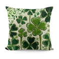 thumbnail image 1 of ST Patricks Day Hat Throw Pillow Covers, Lucky Blessed Decorations for Sofa Couch, 1 of 5