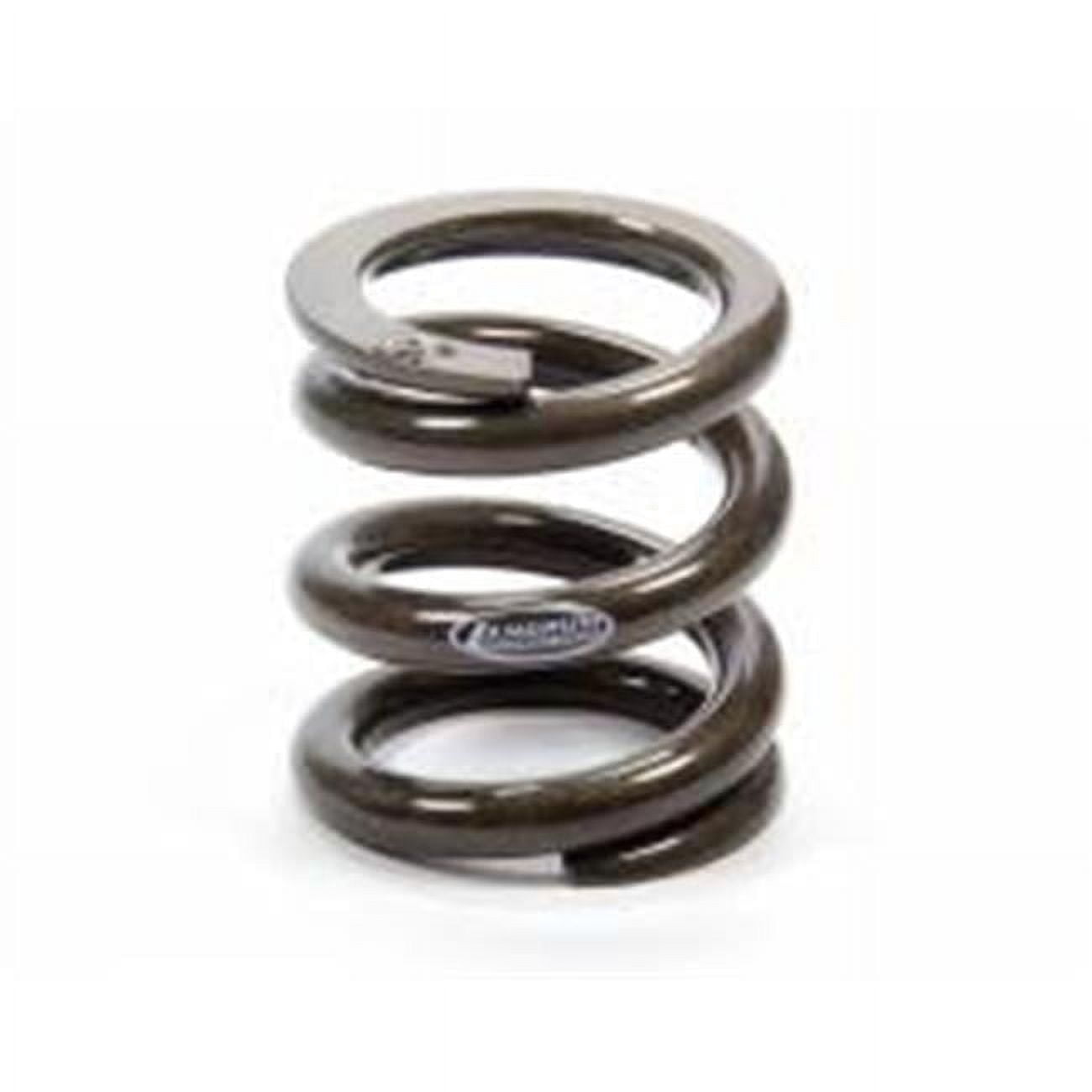 ST1000 Bump Stop Spring - 1000 lbs - Walmart.com