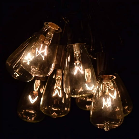 ST11 Clear String Light with Black wire