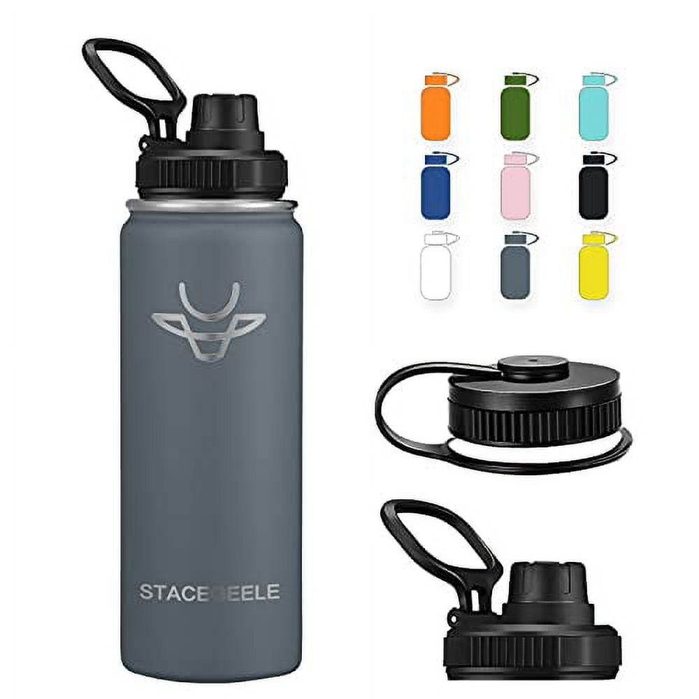 Layer 8 Stainless Steel Portable Water Bottle with Pop Up Straw and Screw  on Lid