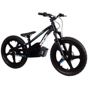 STACYC 20eDrive Stability Cycle