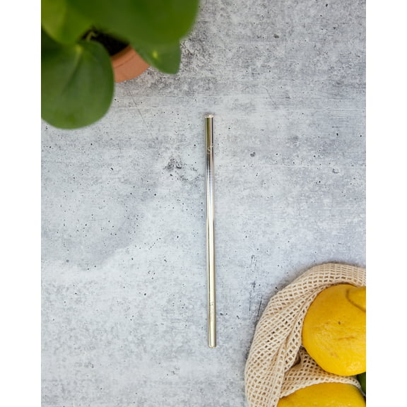 STAINLESS STEEL SINGLE REUSABLE STRAW
