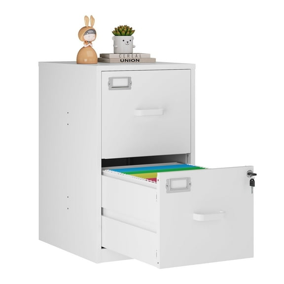 STANI 2 Drawer Filing Cabinet with Lock, Metal Vertical File Storage Cabinets for Home Office, Letter/A4 File Folders Storage, Assembly required (White)