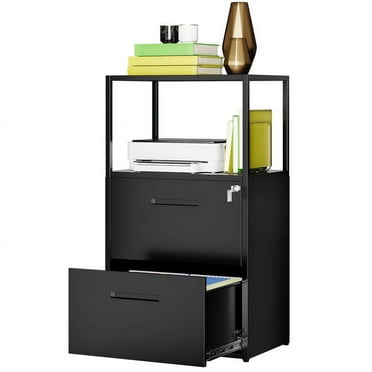 STANI 2 Drawer Lateral File Cabinet, Filing Cabinet with Lock, File Cabinets for Home Office fits Letter/Legal/A4 Size, Large Printer Stand with Storage Shelves