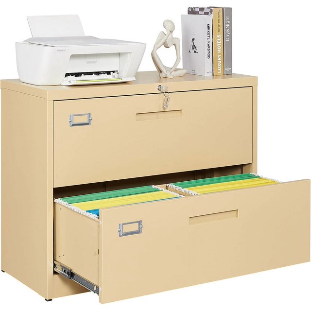 STANI Lateral File with Lock, 2 Drawer Large Metal Vertical Filing Office