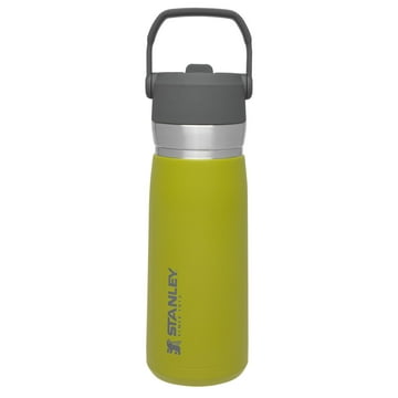 STANLEY 22 oz Green and Silver Insulated Stainless Steel Water Bottle with Straw and Flip-Top Lid