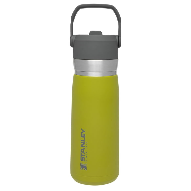 https://i5.walmartimages.com/seo/STANLEY-22-oz-Green-and-Silver-Insulated-Stainless-Steel-Water-Bottle-with-Straw-and-Flip-Top-Lid_2064d174-17ca-4dbf-ab77-33a0599785c8.b344346a4905f818848dedd641e6637a.jpeg?odnHeight=768&odnWidth=768&odnBg=FFFFFF