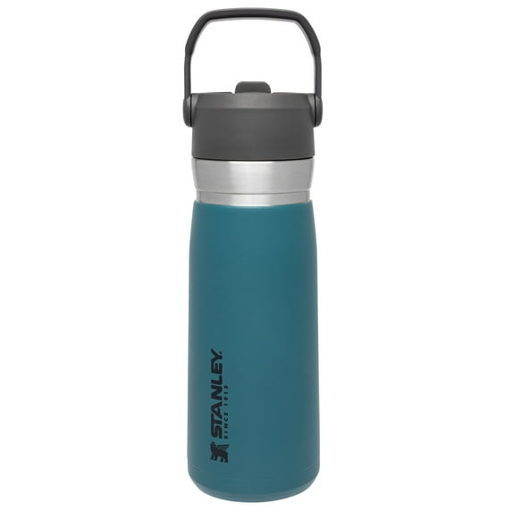 STANLEY 22 oz Lagoon Blue and Gray Insulated Stainless Steel Water Bottle with Straw and Flip-Top Lid