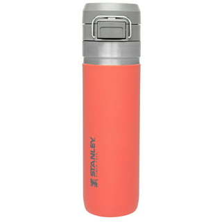 https://i5.walmartimages.com/seo/STANLEY-24-oz-Orange-and-Silver-Insulated-Stainless-Steel-Water-Bottle-with-Flip-Top-Lid_68c952e5-b10a-492f-9562-e9b25292020d.85bfae58d352c047974bbd85308d74ad.jpeg?odnHeight=320&odnWidth=320&odnBg=FFFFFF