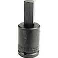 thumbnail image 1 of Socket Bits, 1/2 in Drive, 1/4 in Tip, 1 of 2