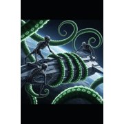 STARDUST EXPLORER b, Paperback