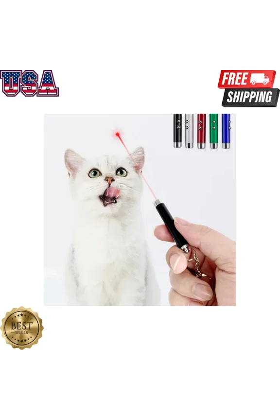 - 4Mw Red Laser Pointer Pen Led Torch Keychain Pet Toy Presentation (No Battery)