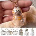 thumbnail image 1 of STARLIGHT- 6X Cat Hair Storage Box Pendant, Cat Hair Storage Capsule Keychain Commemorative, 1 of 6