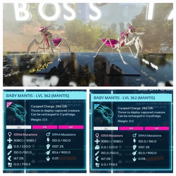 STARLIGHT- Ark Asa Pve Official Baby Pair Mantis Barbie Top Status Pc/Ps5/Xbox