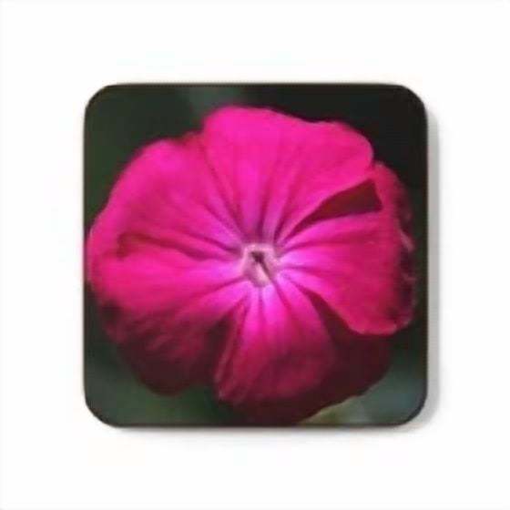 STARLIGHT- Floral Hardboard Coaster - Durable Home And Office Decor