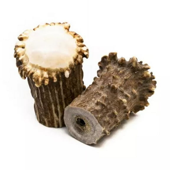 STARLIGHT- Medium Polished Deer Antler Burr Cabinet Pull - Rustic Decor Country Home