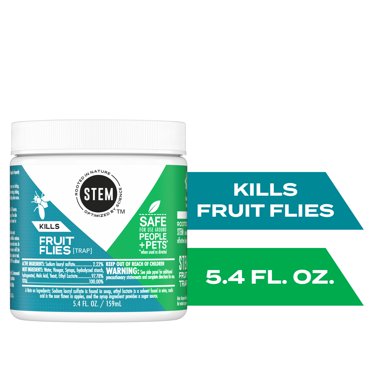 yellow-sticky-fruit-fly-and-gnat-traps-25-pack-fly-paper-and-house
