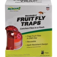 STERLING INTERNATIONAL Rescue Fruit Fly Trap - Pack of 7 Bulk Value Case