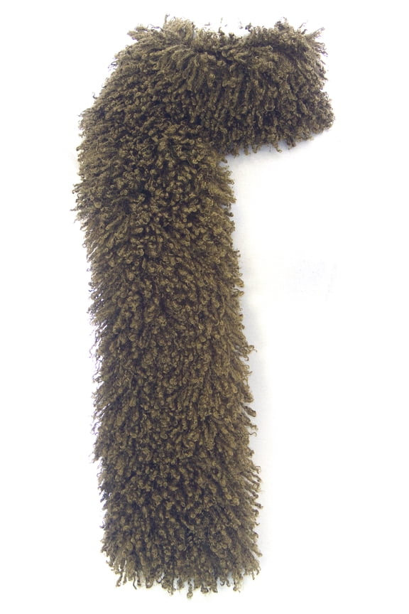 Women's Sage Faux Curly Mongolian Lamb Scarf #719 Sz O/S NEW