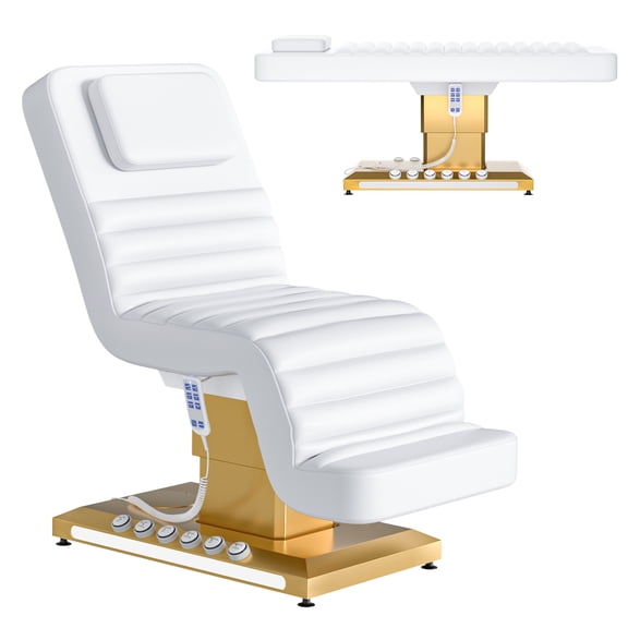 STICCIO Electric Esthetician Bed Dual Control 3 Motor 440 lbs Facial Salon Massage Table
