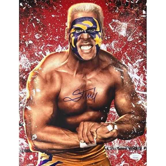 STING Signed Autographed 11x14 Photo JSA Authenticated #1 WCW WWE AEW