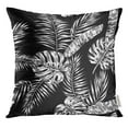 thumbnail image 1 of STOAG Graphical Artistic Black and White Tropical Foliage Modern Tropic Allover Philodendron Monstera Leaves Throw Pillowcase Cushion Case Cover 20x20 inch, 1 of 1