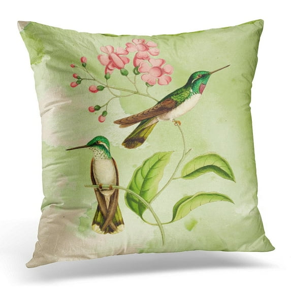 STOAG White Vintage Mountain Gem Hummingbird Green Bellied Throw Pillowcase Cushion Case Cover 18x18 inch