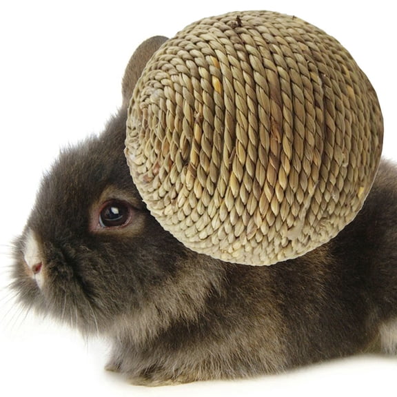 STOBOK 1Pack Small Pet Toys Natural Grass Balls for Indoor Play Light Brown