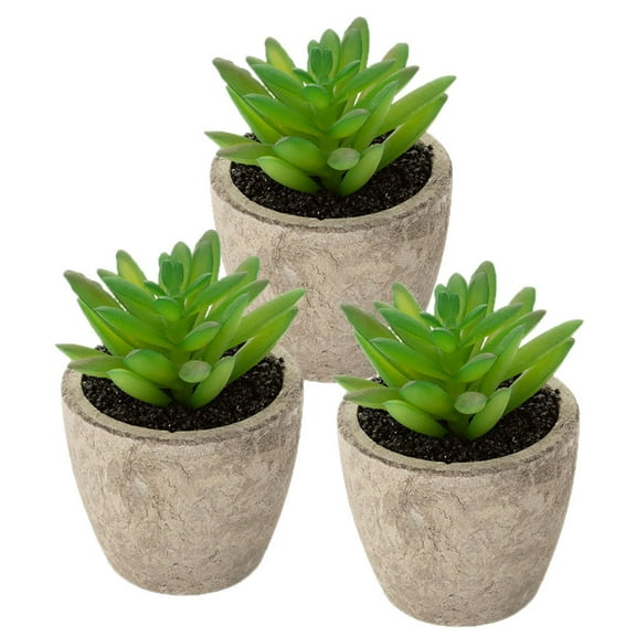 STOBOK Plastic Plant Ornament Assorted Color for Home Decoration 3Pcs