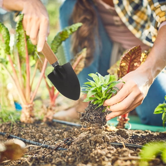 STOBOK 3Pcs Camping Garden Tools Shovel Trowel Rake Iron Wood Handle Assorted Color