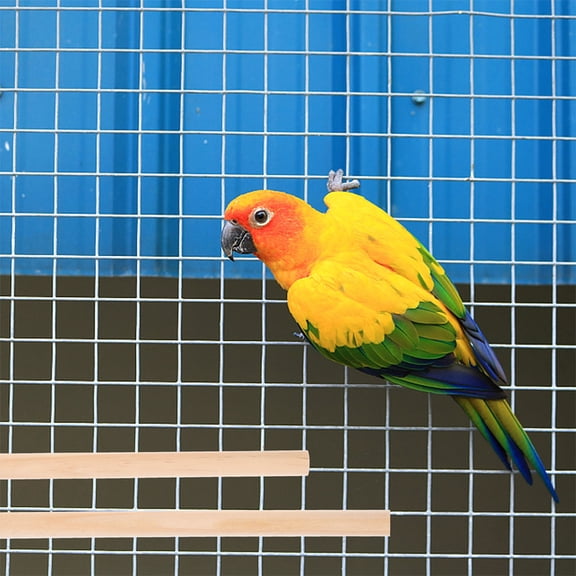 STOBOK 4Pcs Wooden Bird Perch Stand for Cage with Thickened Stable Platform for Parrots