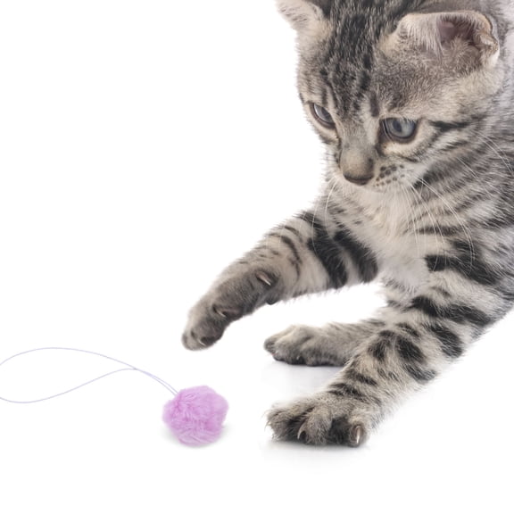 STOBOK 4pcs Cat Trees Hangings Ball Toy Plush Violet Replacement for Indoor Use