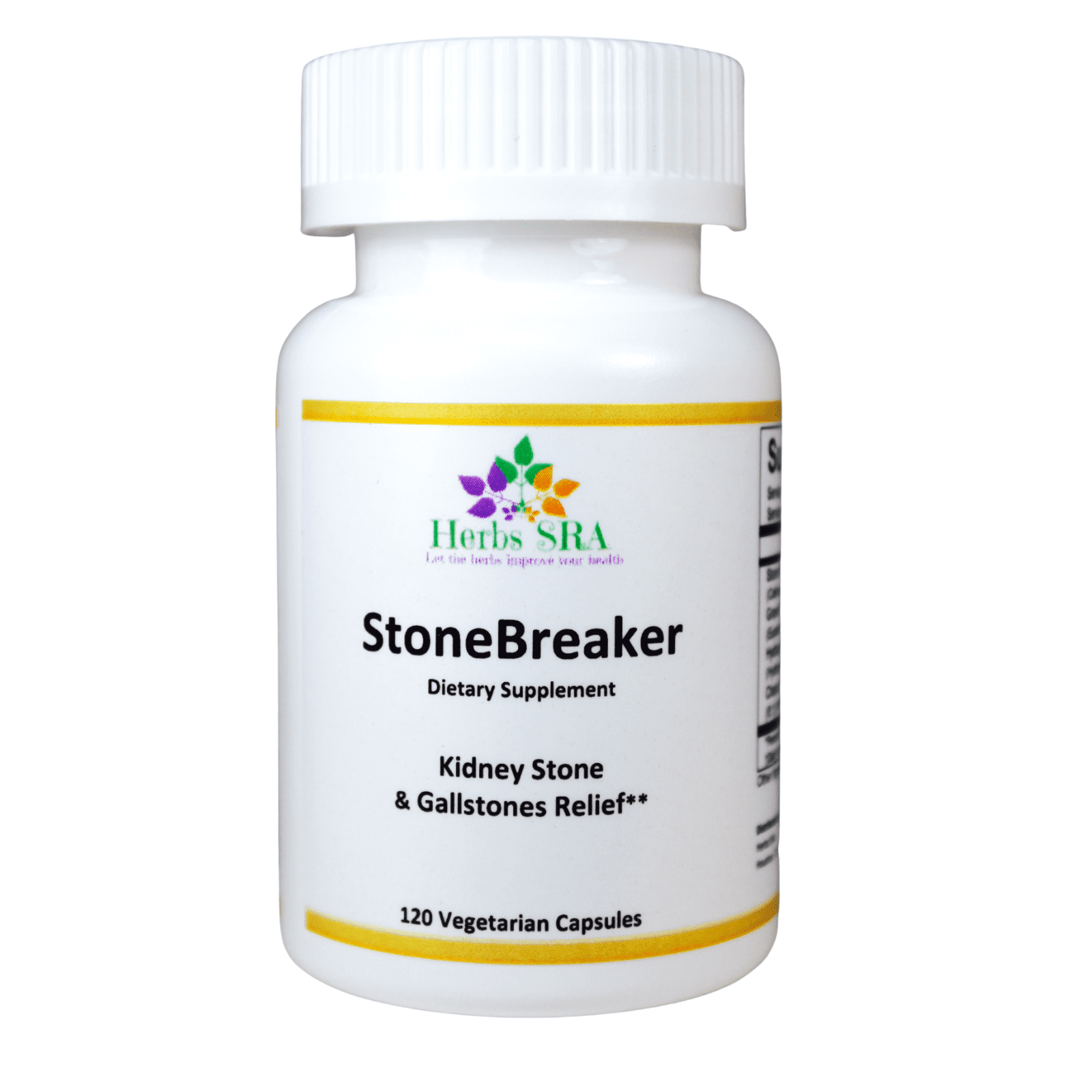 STONE BREAKER Kidney Stone Remover, Gallbladder Cleanser Formula 120 ...