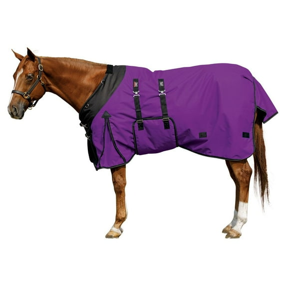 STORM SHIELD Classic II Horse Turnout Blanket | Color Purple | Size 74