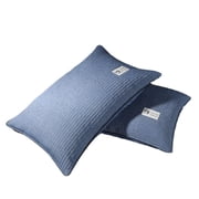 STP GOODS Bed Pillow with Buckwheat Hulls 13.8x21.65" 35x 55 cm Washable Cotton Pillow for Sleeping for Bed, 1 Count, Blue, 200TC