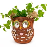 STP GOODS Owl Handmade Ceramic Flower Pot 4.1x5x3.9 Indoor/Outdoor Decorative Flower Planter Hand-Painted Succulent Pot Clay Cachepot