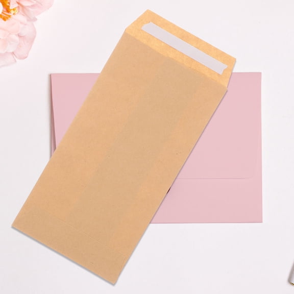 STRANDCHIC Khaki Kraft Seed Envelopes Small Lightweight Blank for Storage 100Pcs
