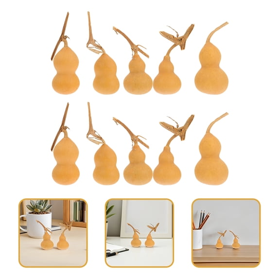STRANDCHIC 10Pcs Miniature Gourd Random Style Home Decor Khaki for Collectors and Decorators
