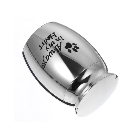 STRANDCHIC Decorative Pet Urn 1 Pack Stainless Steel Cinerary Casket Memorial Keepsake