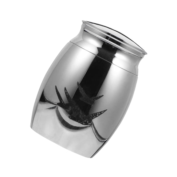 STRANDCHIC 1Pc Stainless Steel Pet Urn Jar Ash Storage Box Silver Durable Memory Casket