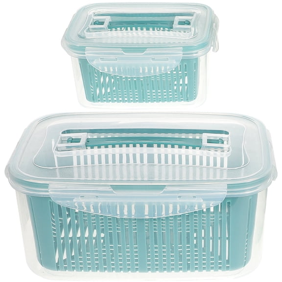STRANDCHIC 2-Pack Fruit Preservation Boxes Food Storage Containers Fridge for Kitchen