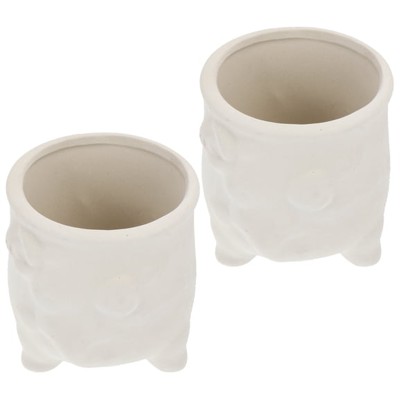STRANDCHIC 2Pcs White Ceramic Flowerpots Easy to Color DIY Planters for Creative Indoor and Outdoor Decor