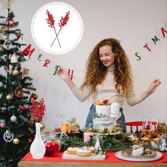 STRANDCHIC 2pcs Artificial Red Berry Stems Plastic Stage Decorations Decorative Crafts Festival Celebration