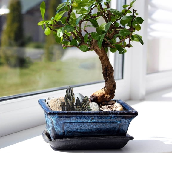 STRANDCHIC Mini Rockery Decoration Fish Aquarium Decor Multi Resin 4 Pcs