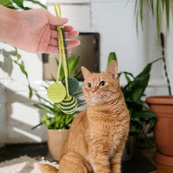 STRANDCHIC Unique Cat Toys Cat Teasing Balls Toy Round Ball Set