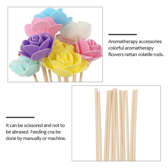 STRANDCHIC Reed Diffuser Sticks 12- Oil Fragrance Diffusers for Home, Coffee Shop, Aromatherapy Scent Diffusion