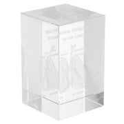 STRANDCHIC Human Anatomy Model 3D Human Lung Anatomical Model Transparent Crystal Glass 1Pcs for Office Display