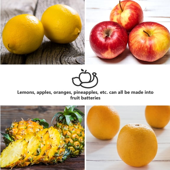 STRANDCHIC 1Set Fruit Battery Experiment Device for Home Teaching and Science Exploration in Assorted Colors