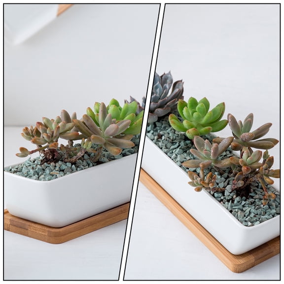 STRANDCHIC Garden Flower Pot with Bamboo Saucer for Container Plants White Ceramic 1 Set