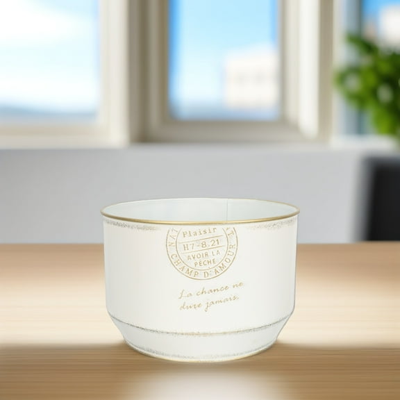 STRANDCHIC White Round Iron Flowerpot 6.5in Vintage Style Tabletop Planter for Home, Office, Garden Storage and Decoration